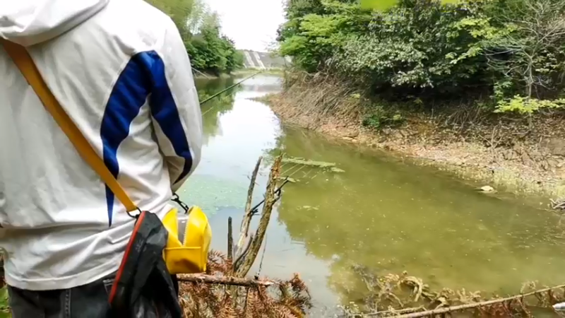 【2022-04-24 11点场】中华户外钓鱼：水库开钓啦！