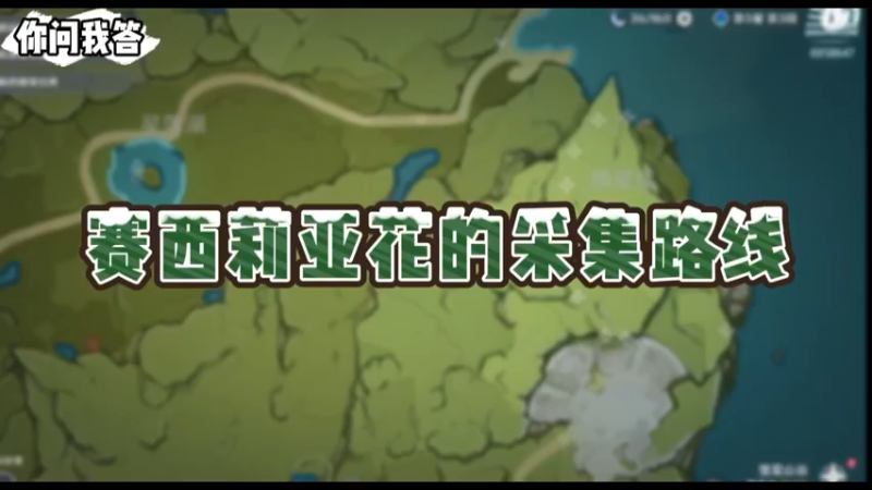 【原神】你问我答-塞西莉亚花的采集路线