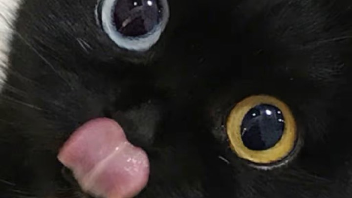 开船