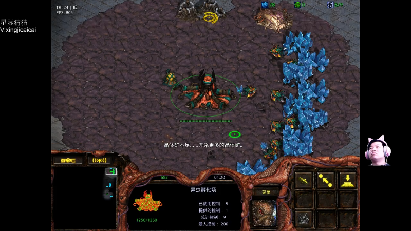 【星际争霸】星际猜猜的精彩时刻 20220425 00点场