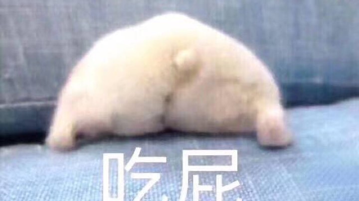 圣物匠