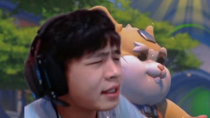 球球回来啦~