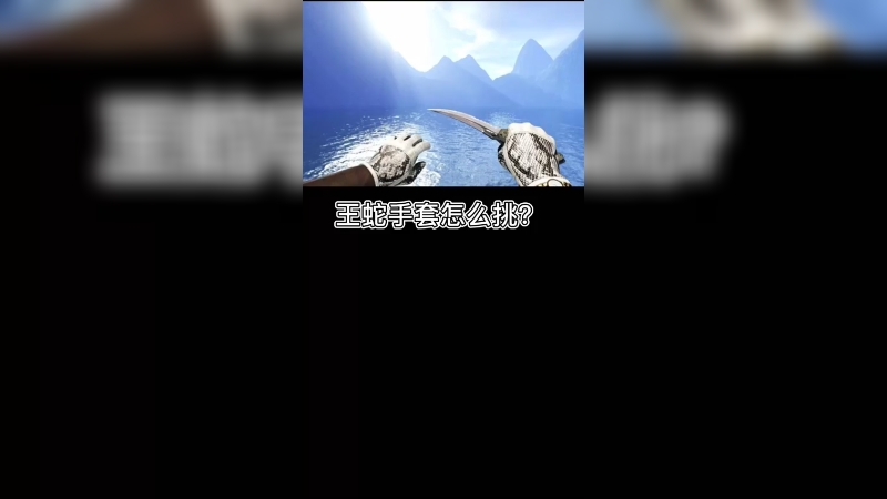 【csgo皮肤】王蛇的挑选