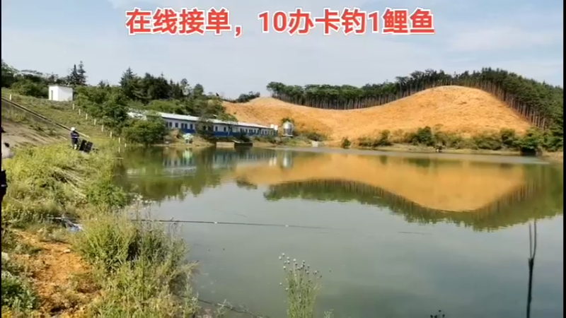 【2022-04-26 15点场】中华户外钓鱼：今天黄沙水库等鲤