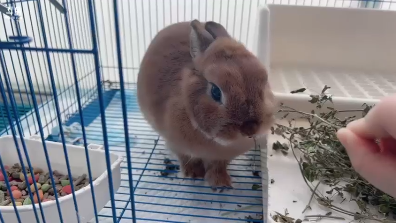 【2022-04-26 17点场】叶知秋Vanessa：秋：周二休息 周三见