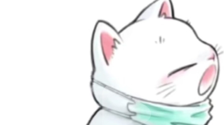 合作