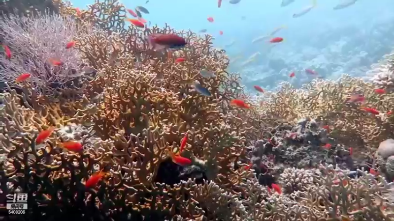 【2022-04-26 23点场】海道丶：海道丶海洋探索