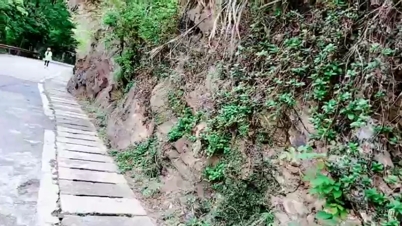 【2022-04-26 12点场】睡懵的渣皇：户外深圳梧桐山死磕！
