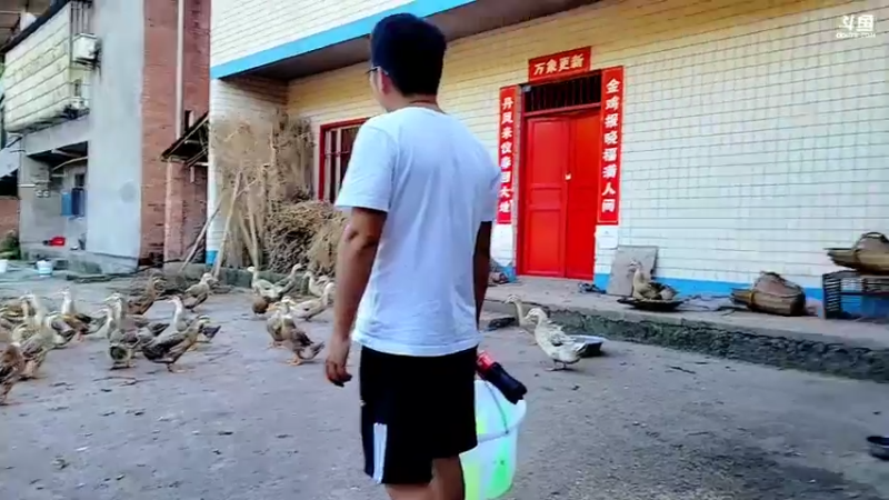 【2022-04-26 18点场】逐梦兄弟：基地宿便播播～