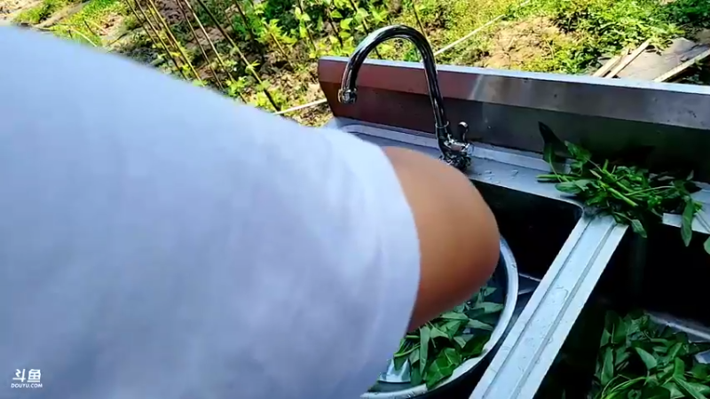 【2022-04-26 16点场】逐梦兄弟：基地宿便播播～