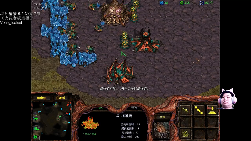 【星际争霸】星际猜猜的精彩时刻 20220426 00点场