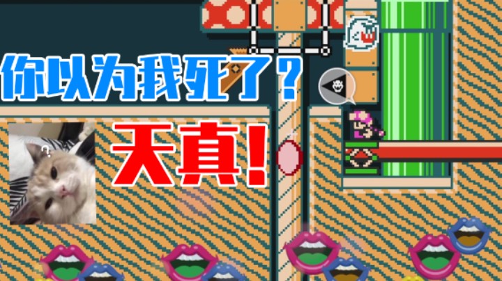 【白胖】这个坑我是故意踩的《马里奥制造2》