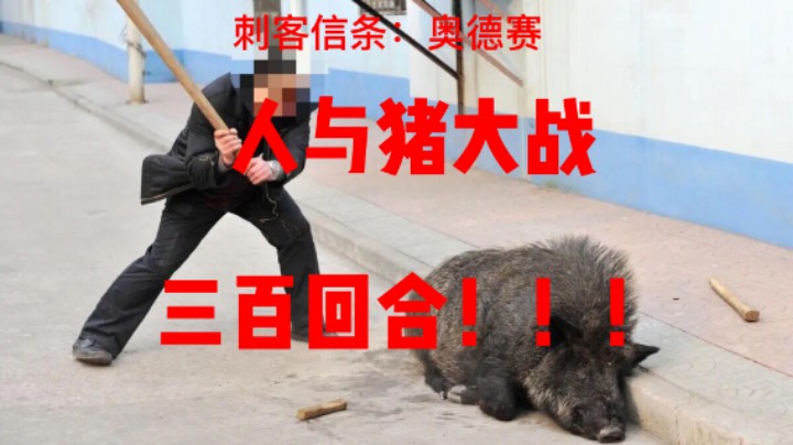 刺客信条奥德赛人猪大战300合