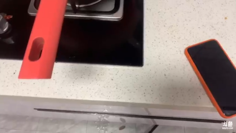 【2022-04-26 17点场】一条小团团OvO：今天吃吃点啥