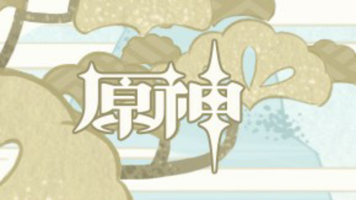 活动录像
