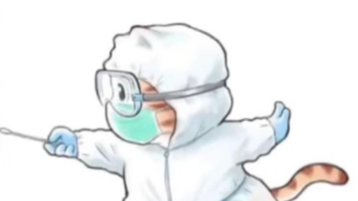 做核算了吗