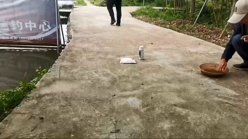 【2022-04-27 12点场】中华户外钓鱼：今天崇阳搞鲤
