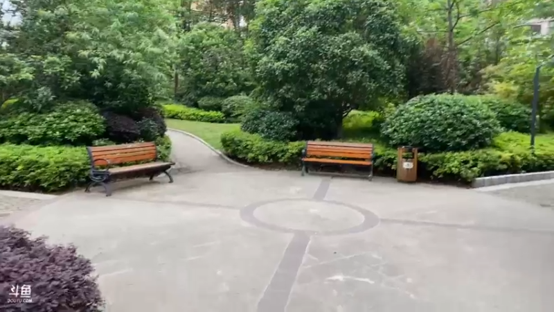 【2022-04-27 17点场】驴酱的冯雨大王：冯雨大王：今天是变天计划第527天~