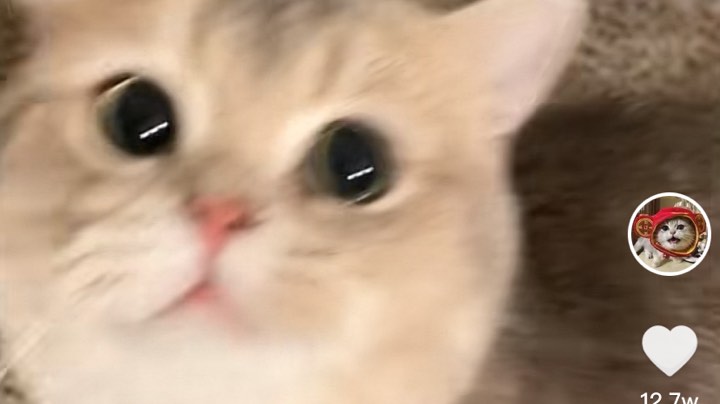 6666666