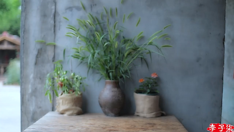 我在斗鱼看李子柒liziqi直播美食