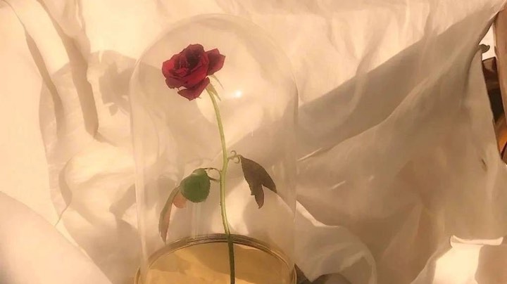 多数传给自己的