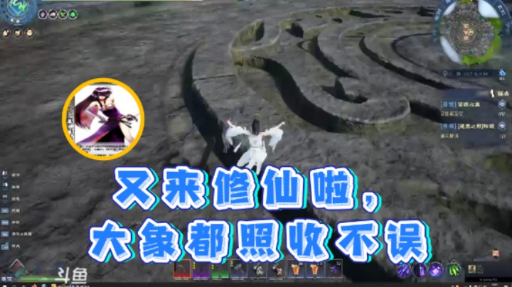 【荣耀洋洋】：又来修仙啦，大象都照收不误