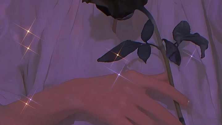 抽了个寂寞༃