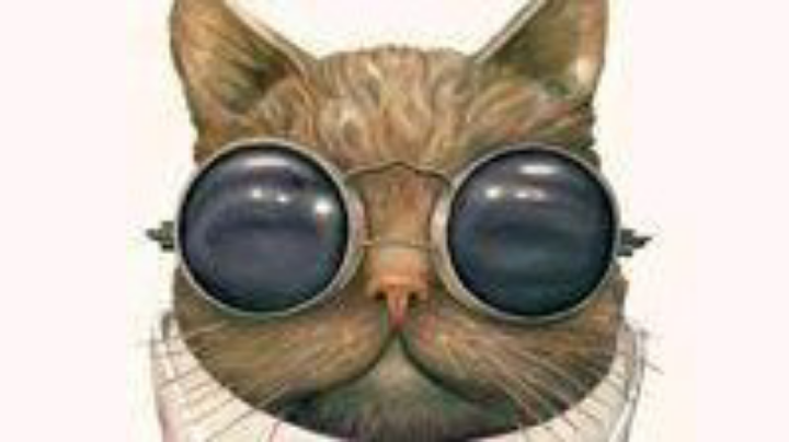 狼人悍跳感动好人