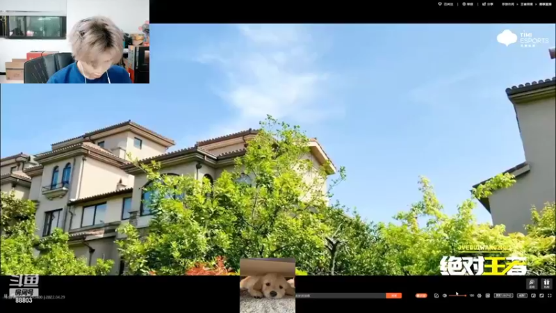 【2022-04-29 21点场】DYG丶小义：GKVSXYG 专业二路解说