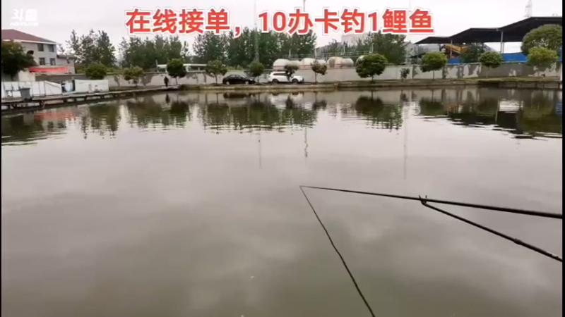 【2022-04-29 18点场】中华户外钓鱼：4.28多多带队搞鲤