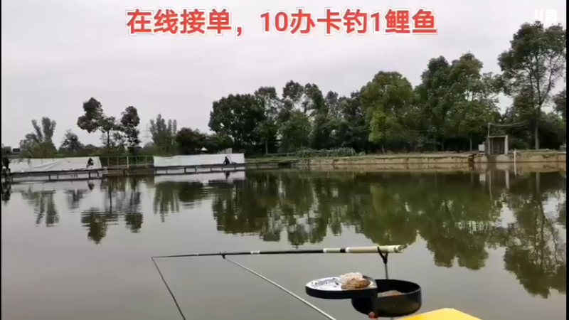 【2022-04-29 16点场】中华户外钓鱼：4.28多多带队搞鲤