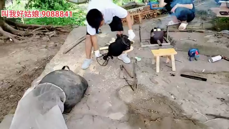 【2022-04-29 13点场】川味箩卜：鹅妹快乐的一天～