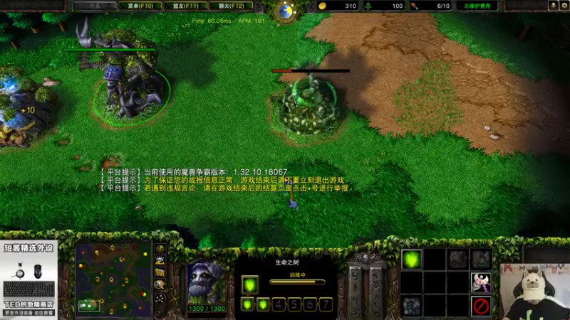 【2022-04-29 21点场】War3TeD：【直播中】7点非主流冲前10！