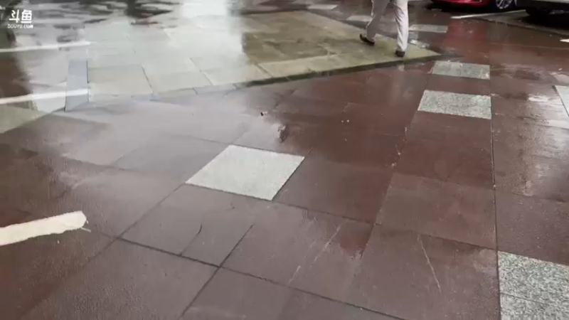 【2022-04-28 17点场】驴酱的冯雨大王：冯雨大王：今天是变天计划第528天~