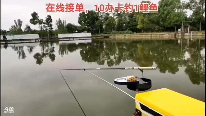 【2022-04-29 14点场】中华户外钓鱼：4.28多多带队搞鲤