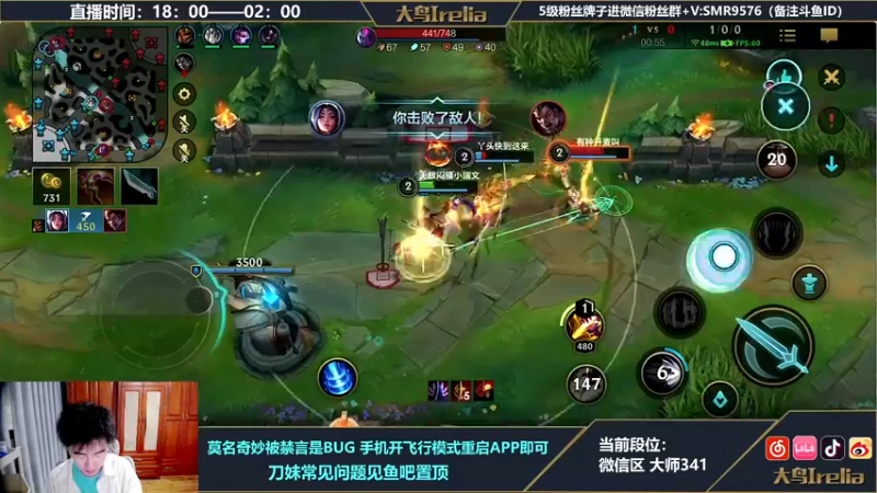 【2022-04-28 20点场】大鸟Irelia：最强刀妹：无需操作打野乱C教学