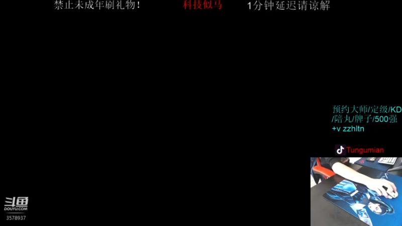 【2022-04-28 11点场】迷音浪：吃鸡维护玩玩小游戏