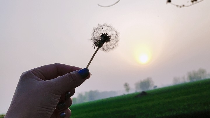 人生经不起大起大落的