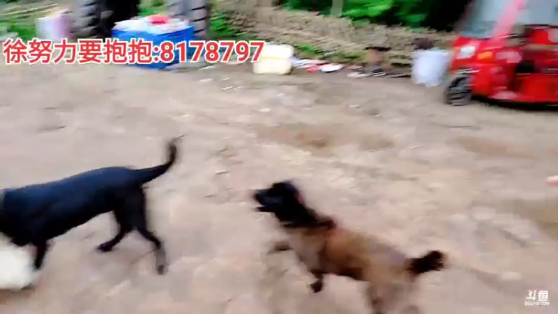 【2022-04-30 18点场】川味箩卜：欢迎抱抱来757基地～