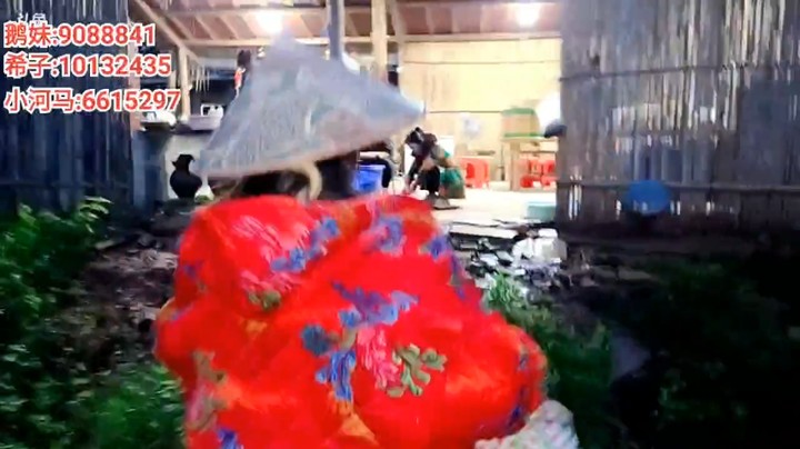 浩哥带美女去捡鸭蛋，结果捡少了