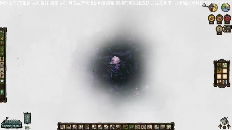 饥荒猪镇猪妹