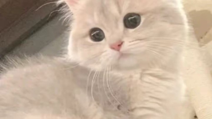 精彩视频