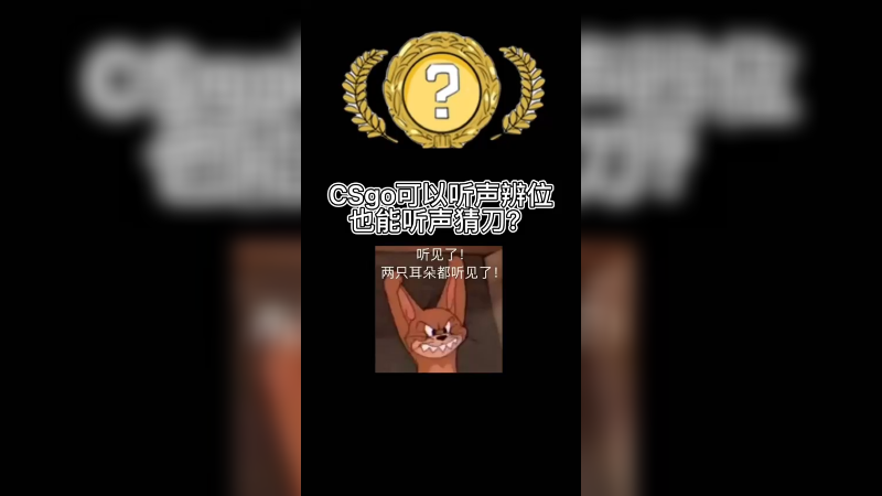 【csgo开箱】听声出金猜皮肤，开箱samr