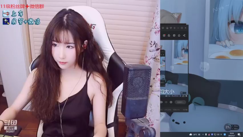 【2022-05-01 16点场】白菇凉：白菇凉:今天双倍经验哟