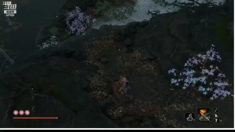 【2022-05-01 13点场】无情老白坨：在线瞎玩。