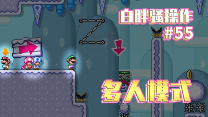 【白胖骚操作】55期 - 多人极难团？ 《马里奥制造2》