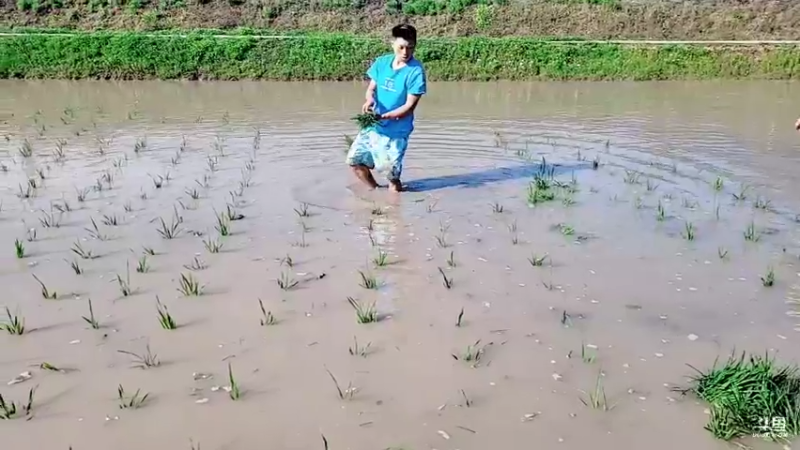 【2022-05-02 17点场】逐梦兄弟：紫牌大姐的一天