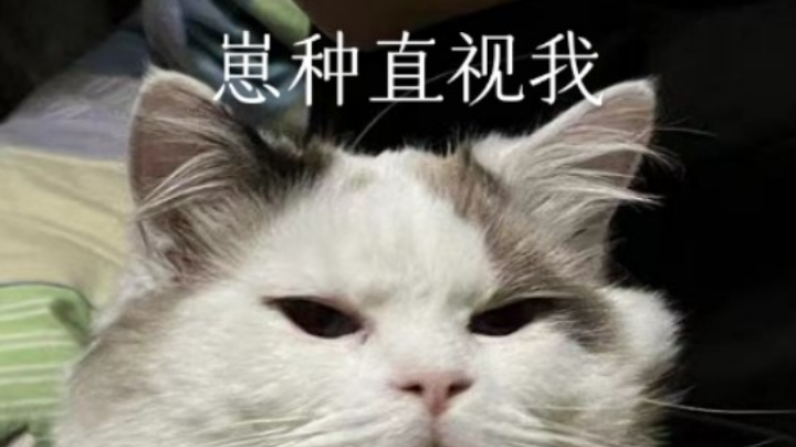 咩啊