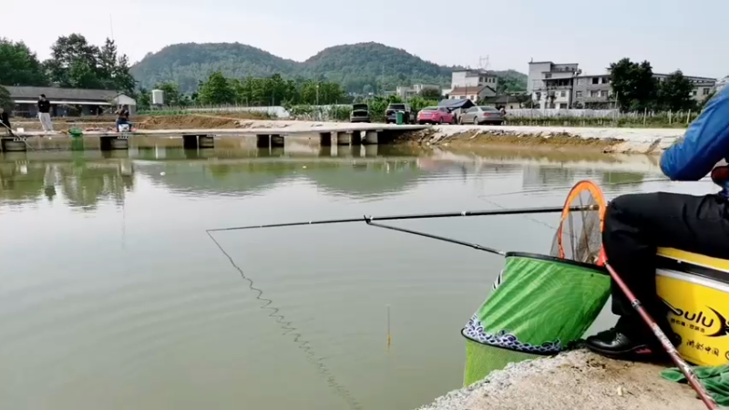 【2022-05-02 09点场】中华户外钓鱼：玉米王1号诱重出江湖