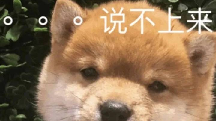 嗯嗯哦哦哦